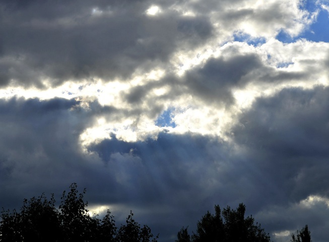 rays