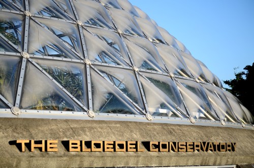 bloedel conservatory