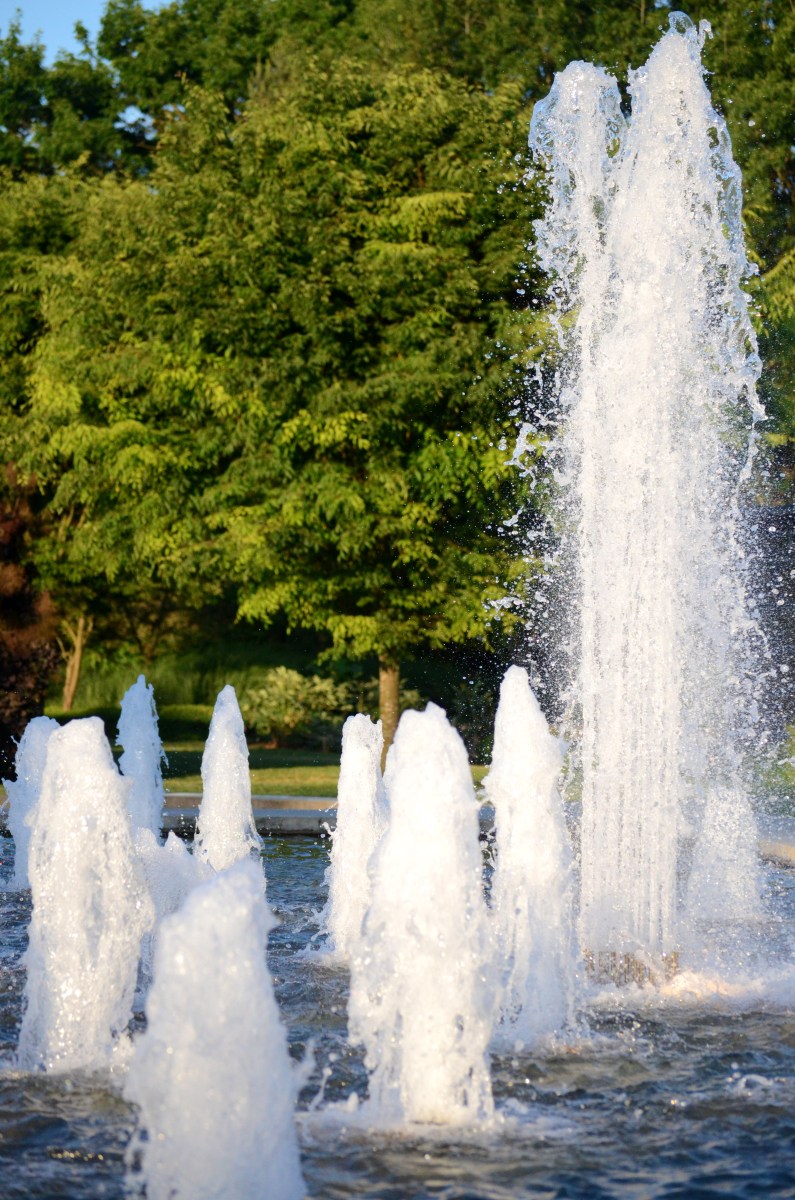Queen Elizabeth Park fountain