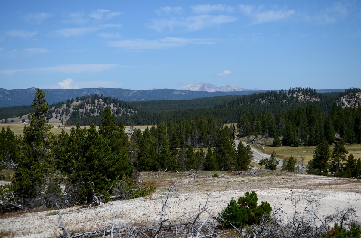 yellowstone landscape