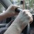 hands driving