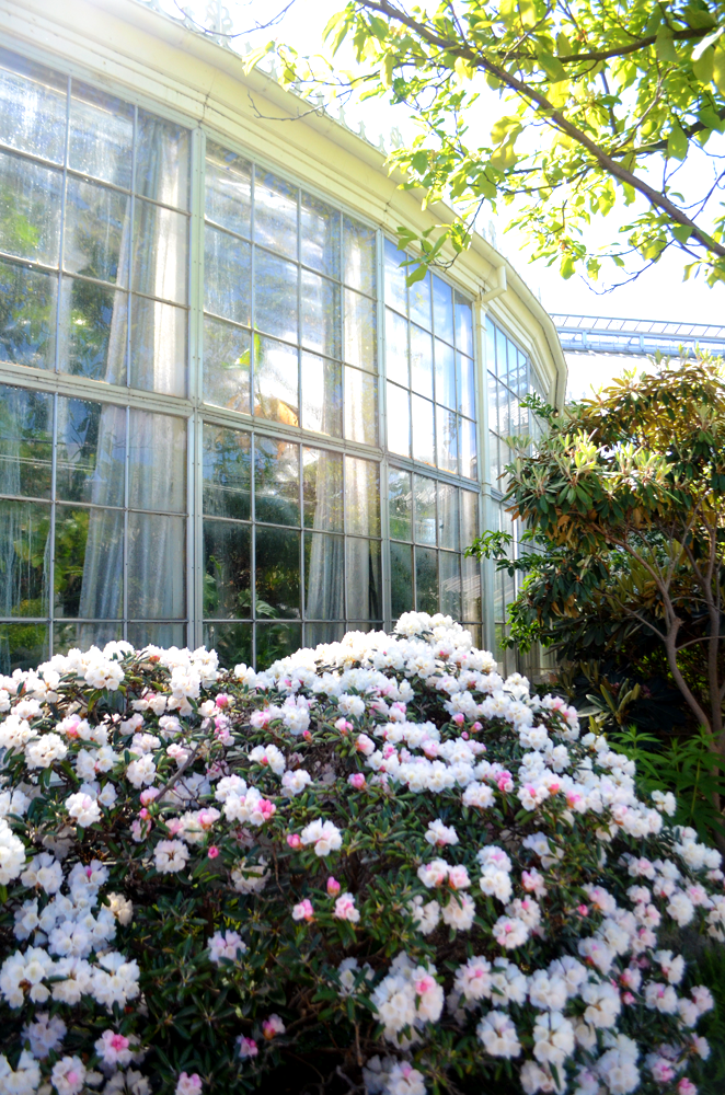 Outside of greenhouse at Botanisk Have